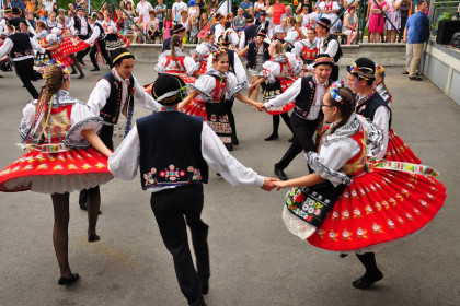 Kulturní, folklorní a vinařské akce